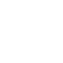 Big Hairy Audacious Goal (B.H.A.G.)